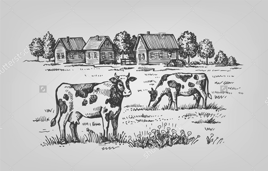 О АгроАльянсе